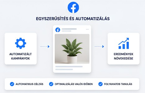 meta andromeda kampány egyszerűsítés